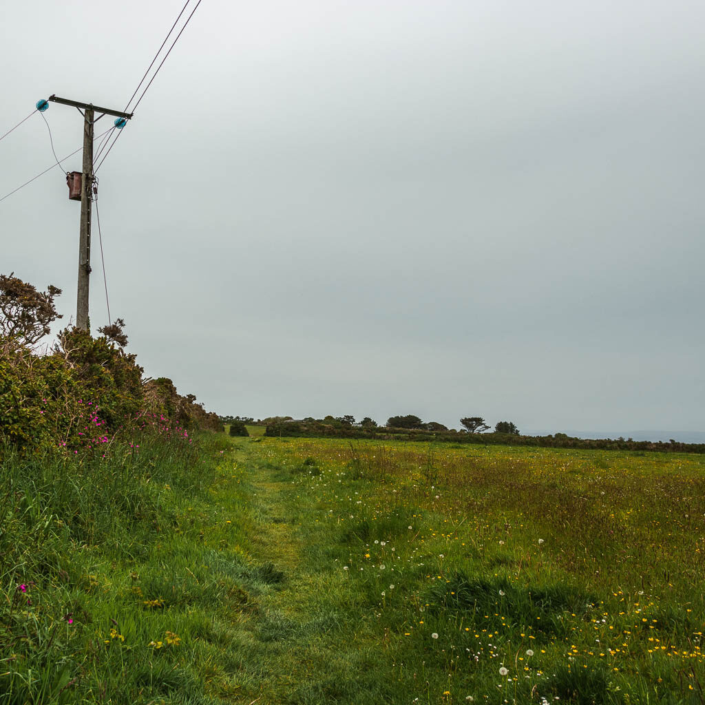 A grass trail along the side of a field. There is a telephone pylon on the left side of the field.