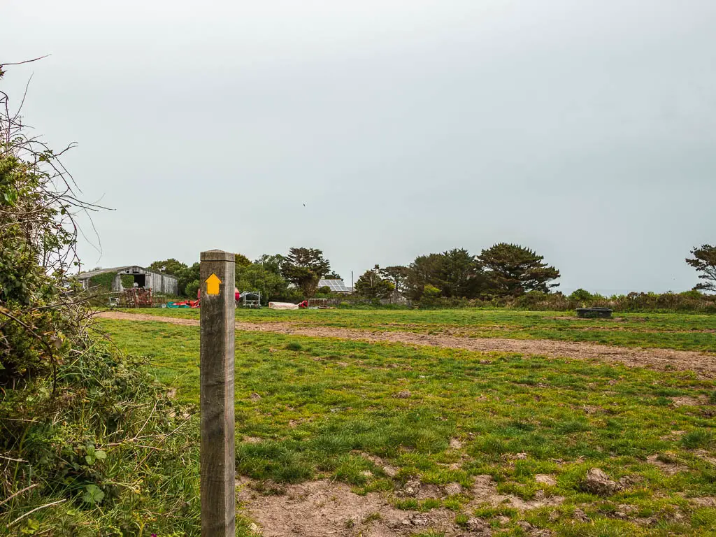 A large Fram field, with a wooden trail signpost on the left with a yellow arrow pointing ahead. 