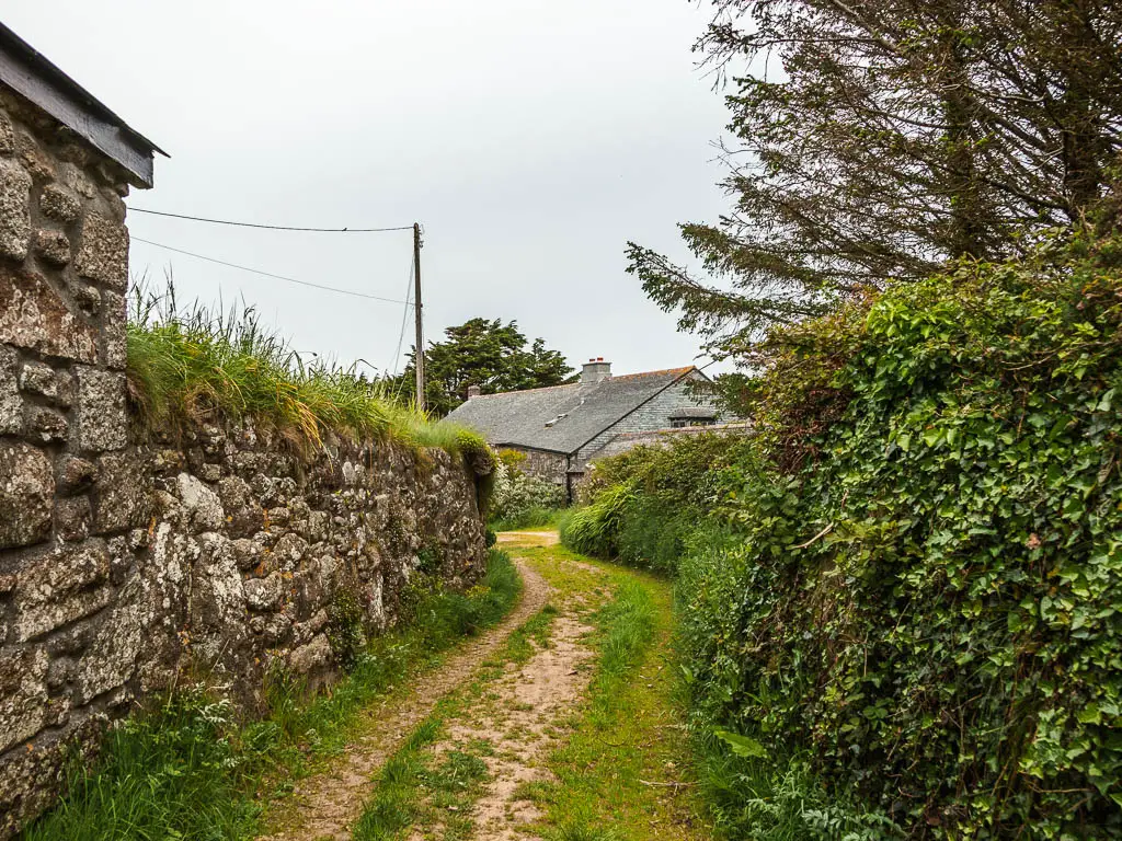 A grass path, with a stone wall on the left and a hedge on the right. The roof of a house is visible ahead next to the trail.