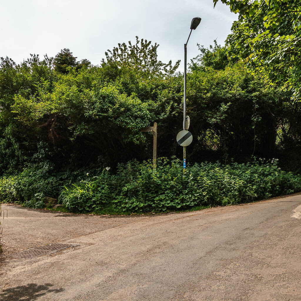 A road junction with bushes and trees between them.