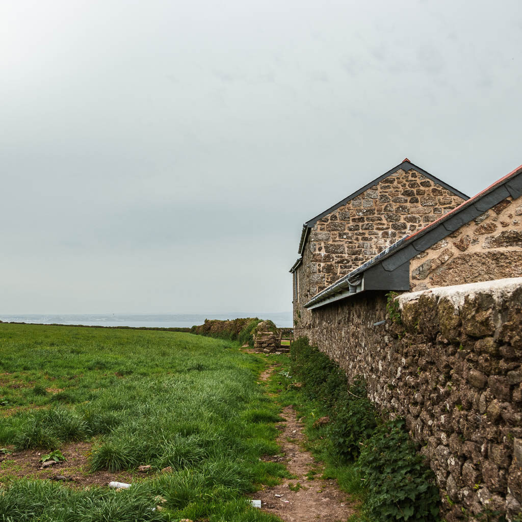 A geen field with a stone wall on the right. There is a dirt trail running along the side of the wall.