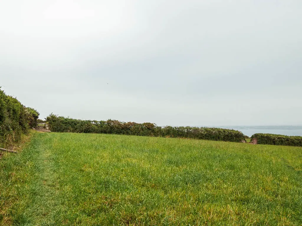 A grass field, with a hedge on the left and along the edge of the field ahead. 