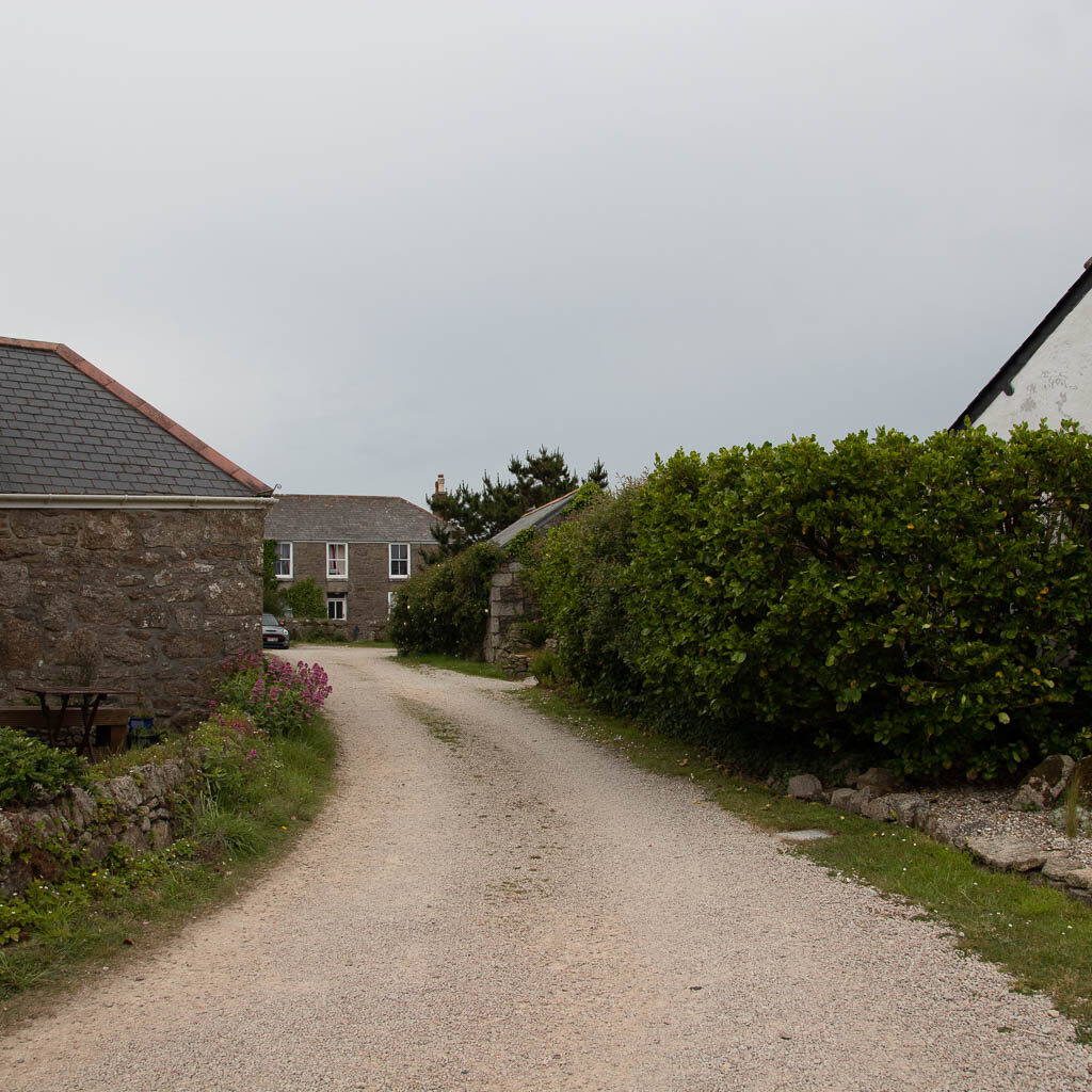 A road with a hedge on the right and some buildings to the left and ahead. 