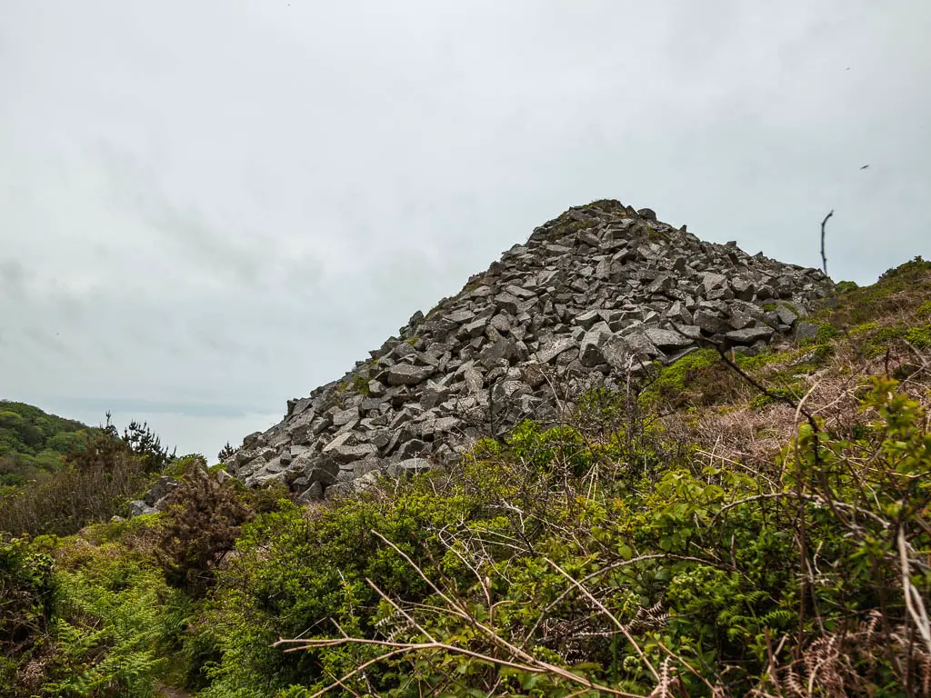 A mound of rocks ahead past some bushes.