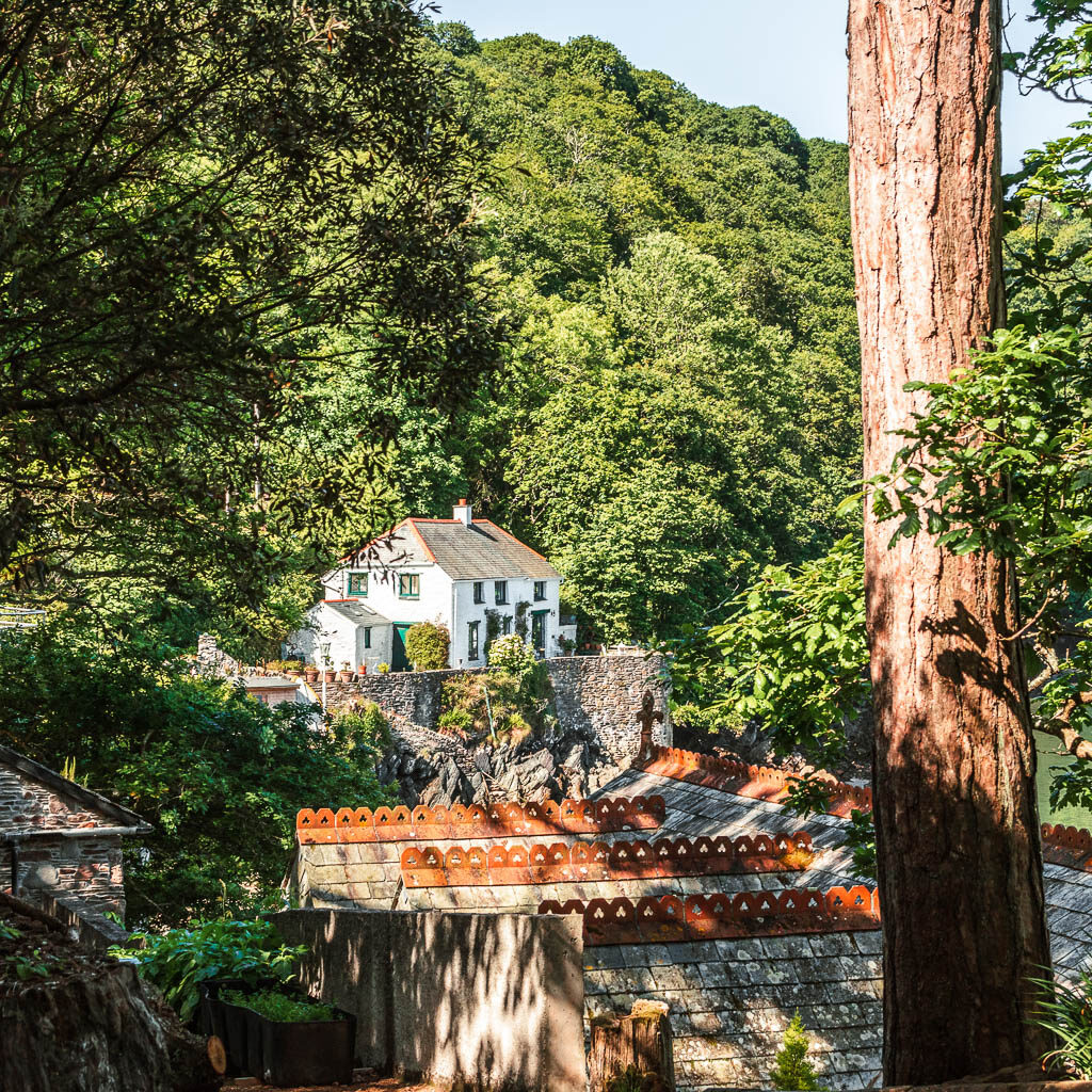 Looking through a gap in the trees to a white coloured house nestled within the trees.