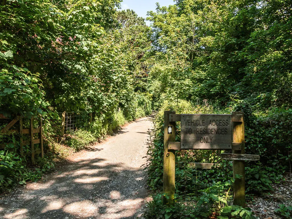 A path on the left, surround by bushes and trees, and a wooden sign on the right.