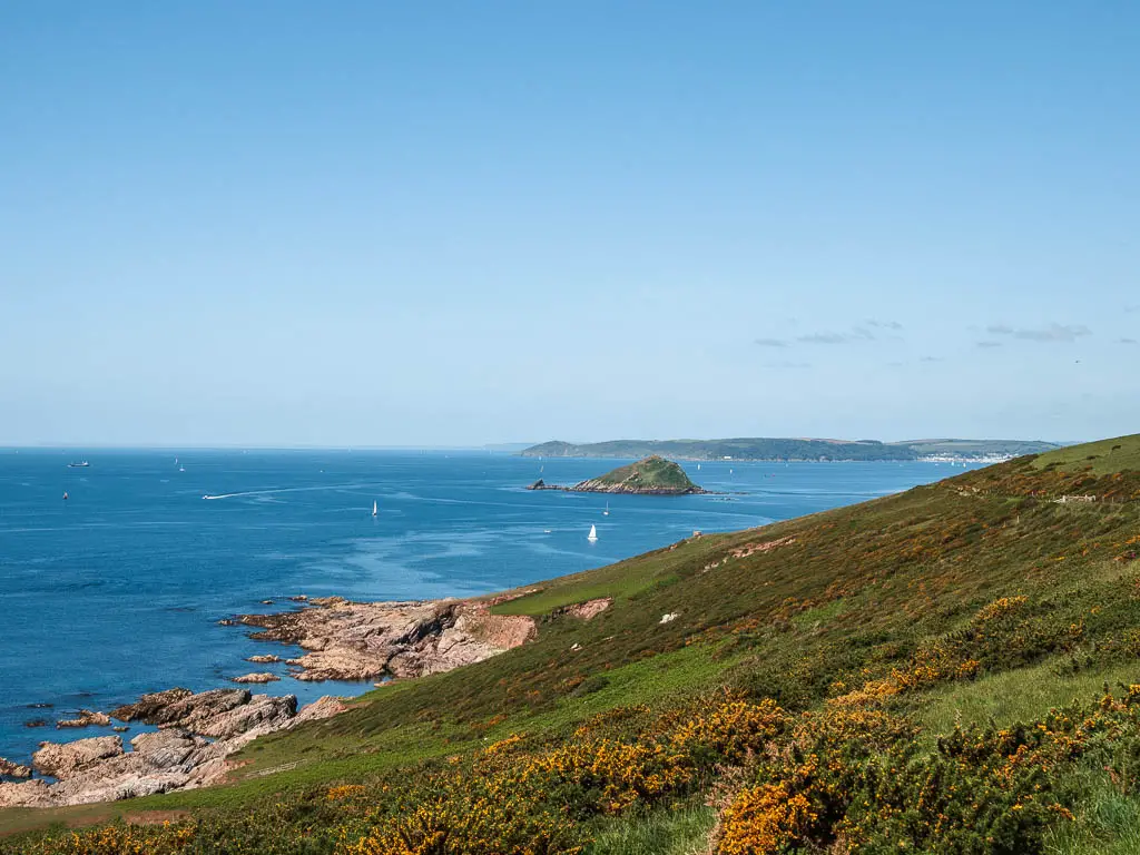 Looking along the side of a grass and gorse covered hill to the blue sea below and ahead, on the circular walk from Noss Mayo. There is a sea rock in the distance.