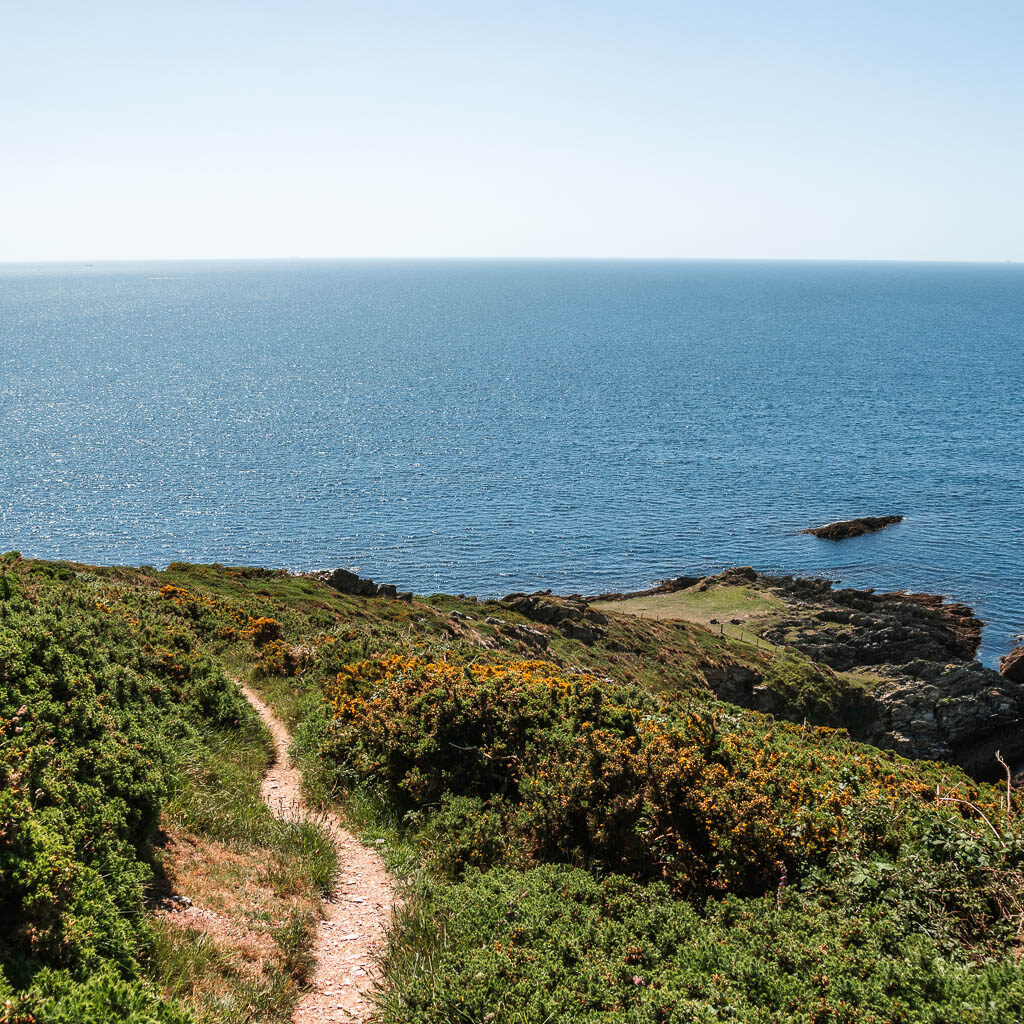 A narrow trail running along the grass, with the blue sea ahead,