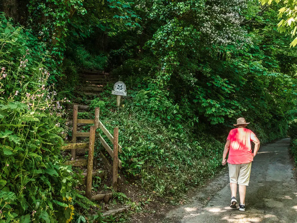A person with a pink top walking along the road on the right, and wooden steps leading up through the bushes and into the woods on the left.