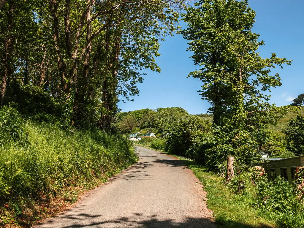 A country road leading uphill to the left, with a grass bank and trees on the left, and some grass and bushes to the right.