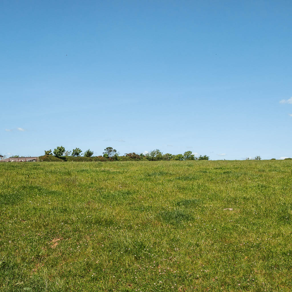 A large grass field.