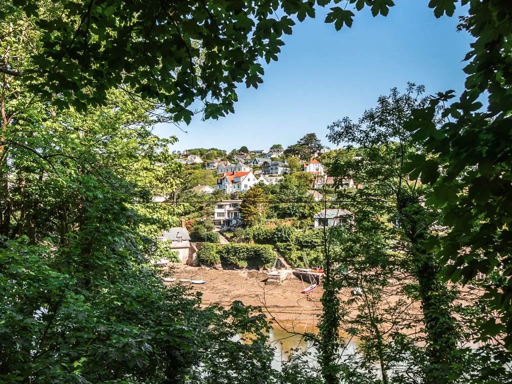 Looking through a gap in the trees to village houses up a hill on the other side of the river, on the coastal Noss Mayo walk.
