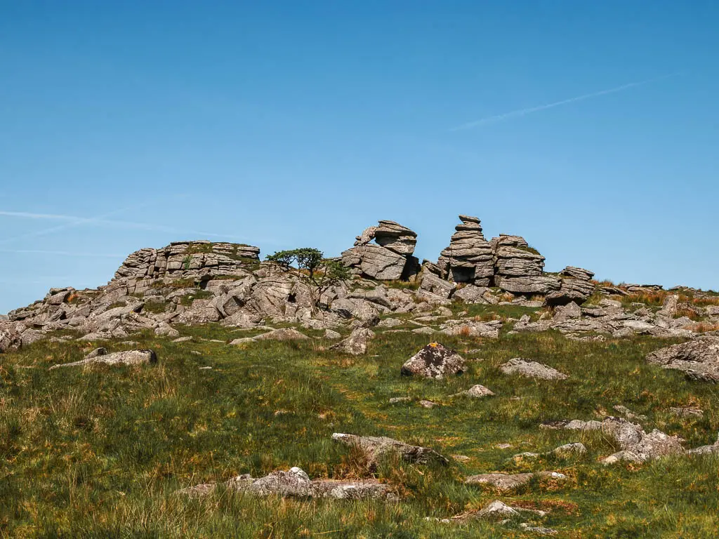 Looking up towards the rocks of King's Tor on the Princetown Railway walk.