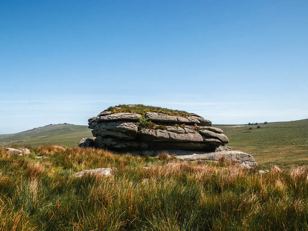 Tall grass with a rock of King's Tor behind it, and the circular Princetown Railway walk.