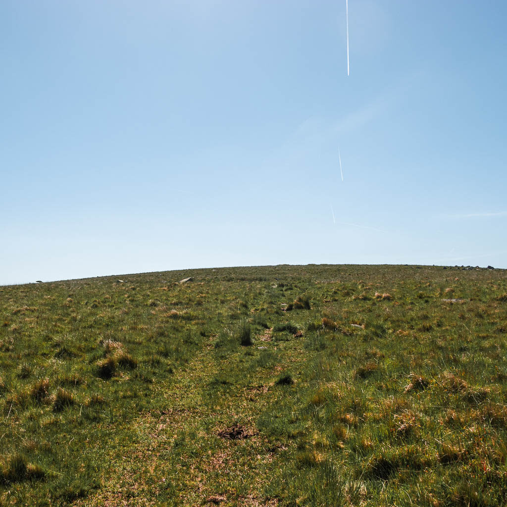 Looking up a grass hill, with a faint trail marking.