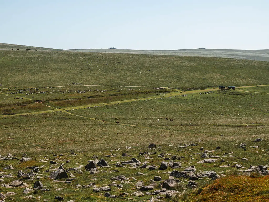 Looking down across the moor, with rocks dotted about and faint grass trail at the bottom.