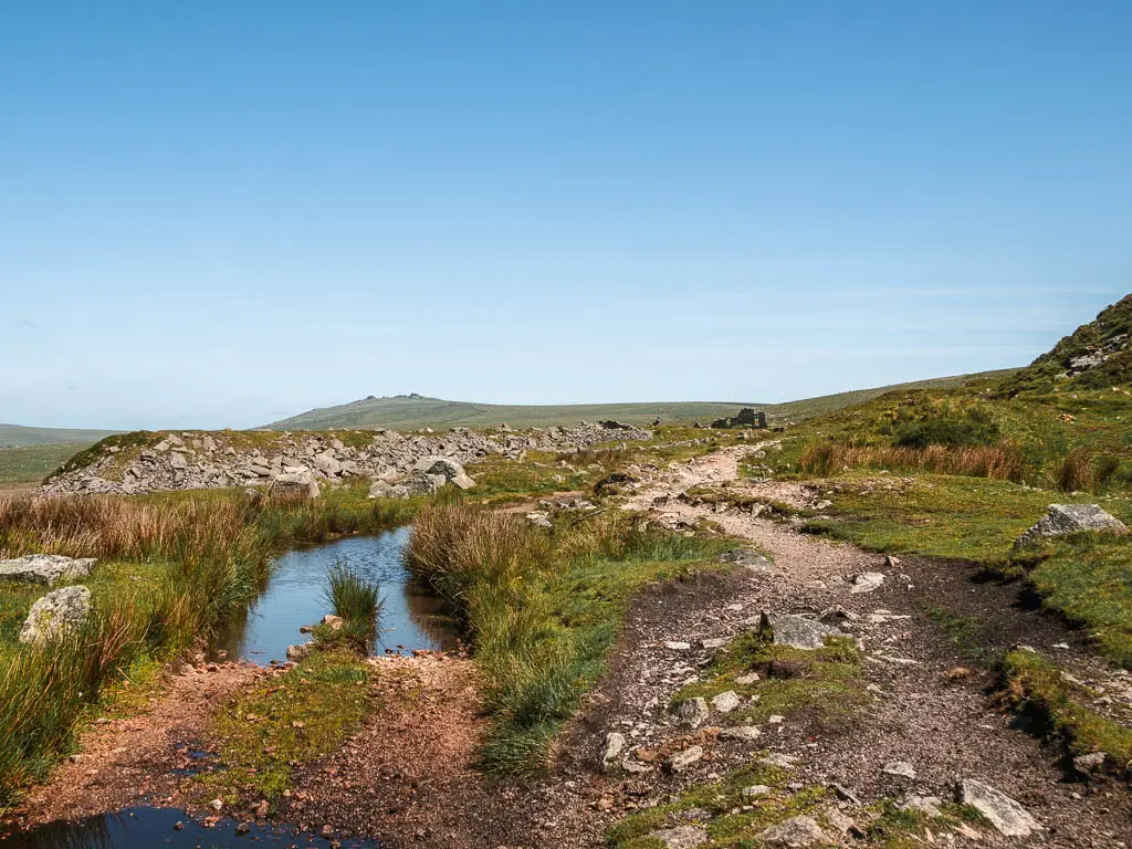 The trial on the right and a puddle on the right, both surrounded and lined with bits of grass, on the Princetown Railway walk.