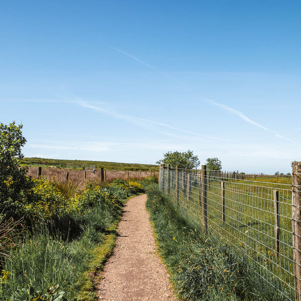A straight path lined with grass, and a wire fence on the right.