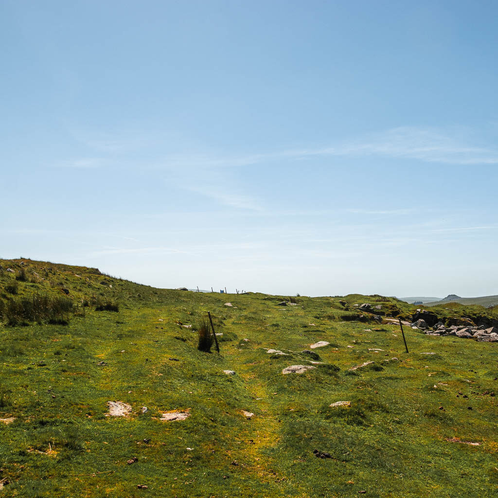 A faint grass trail running across the grass.