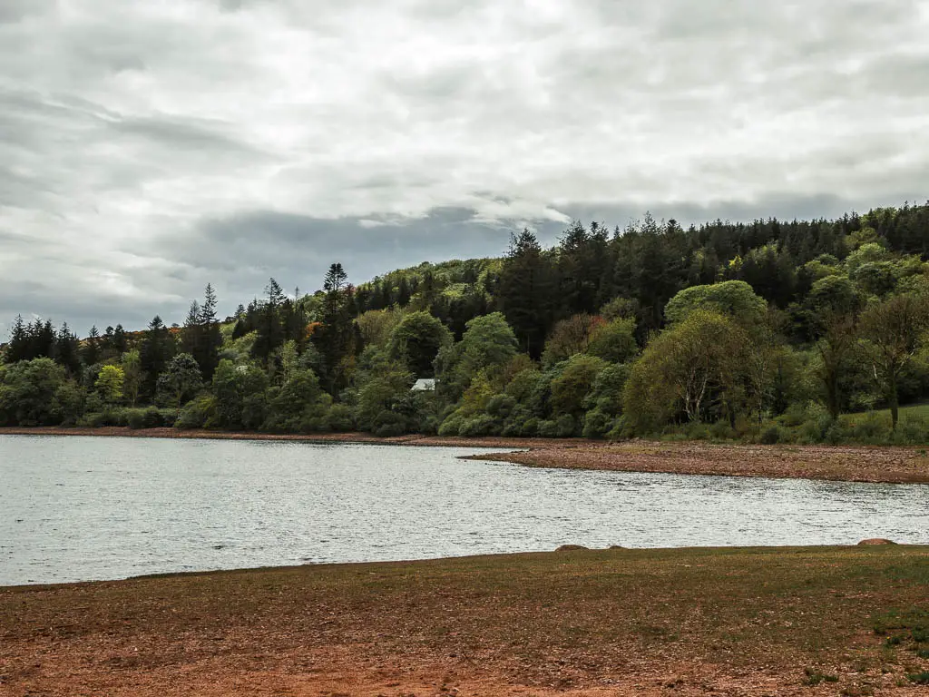 Looking across the bank to the reservoir, and lots of woodland trees in the other side.