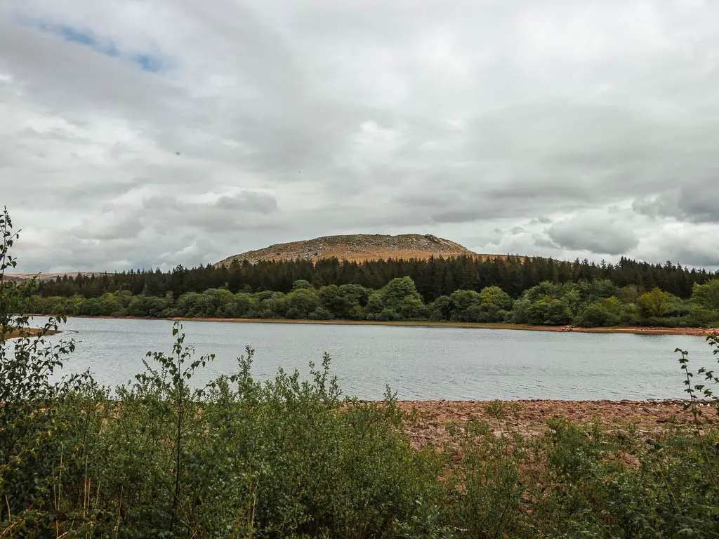 Looking over the bushes to the reservoir and Sheepstor looming on the other side, past the trees, near the end of the circular walk.