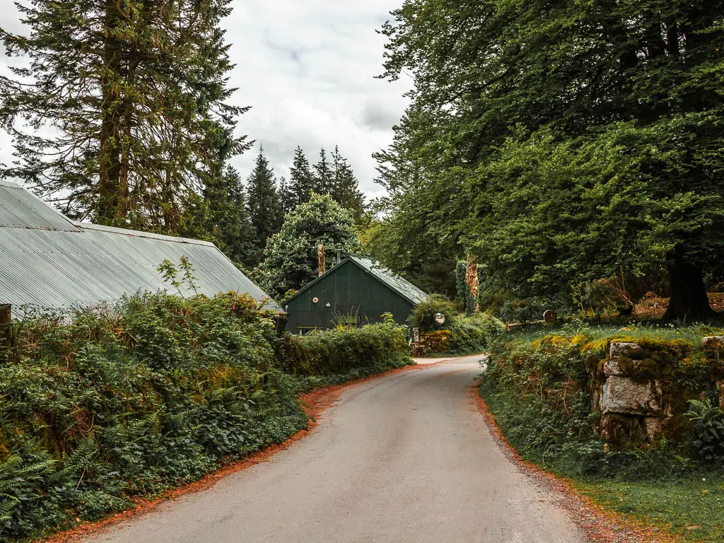 A road lined with leaf and fern covered stone walls. There is a green shed type building ahead on the left side of the road. 