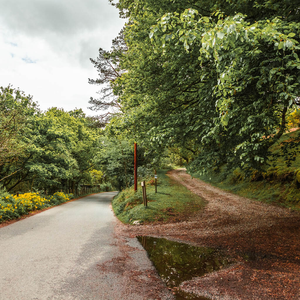 A road on the left and a dirt track leading uphill on the right, parallel to the road. 