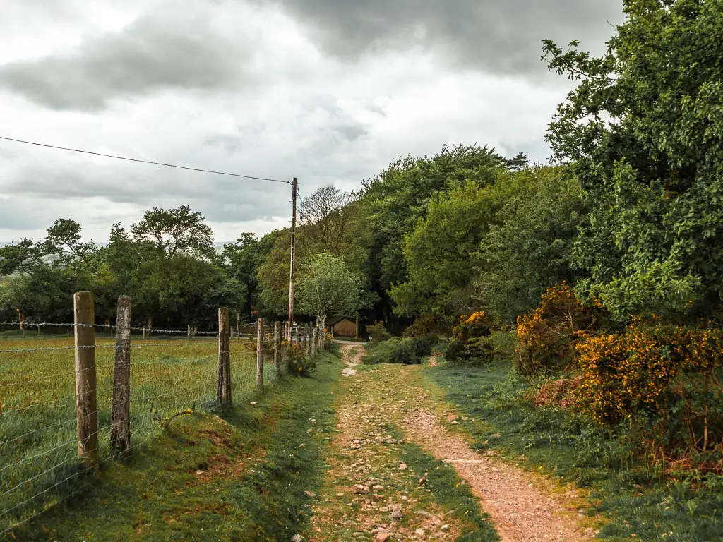 A rocky path, with a wire fence on the left and grass and trees to the right.