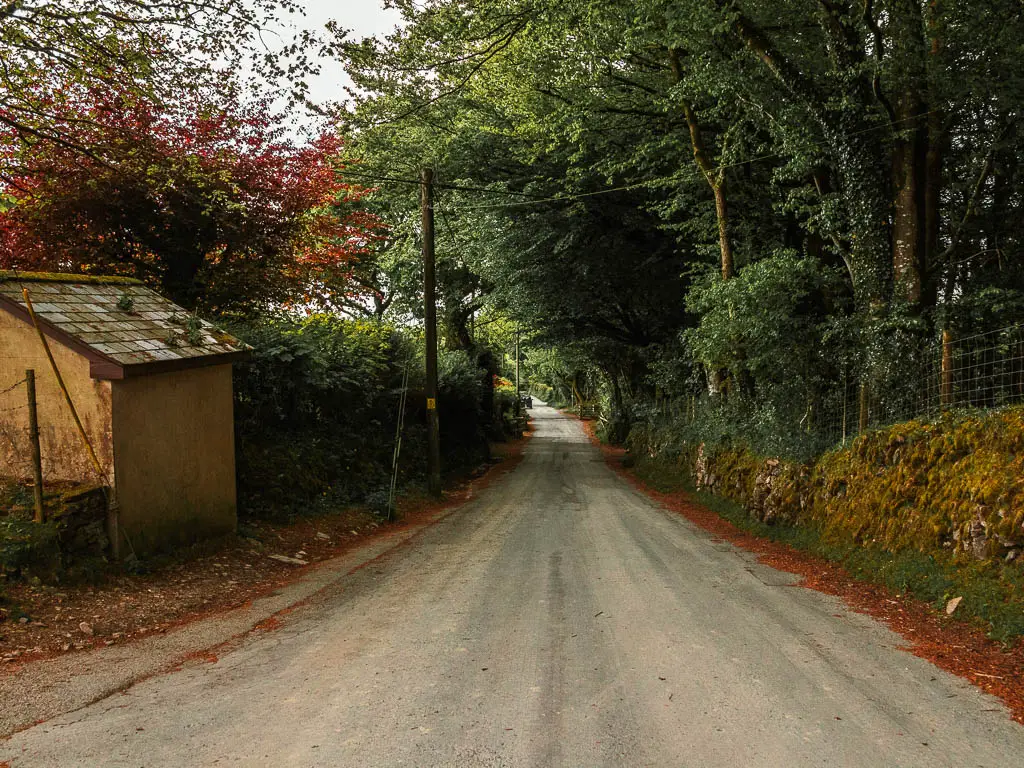 A country road running straight, downhill, with a stone wall and trees on the right, and a shed and hedge to the left. 