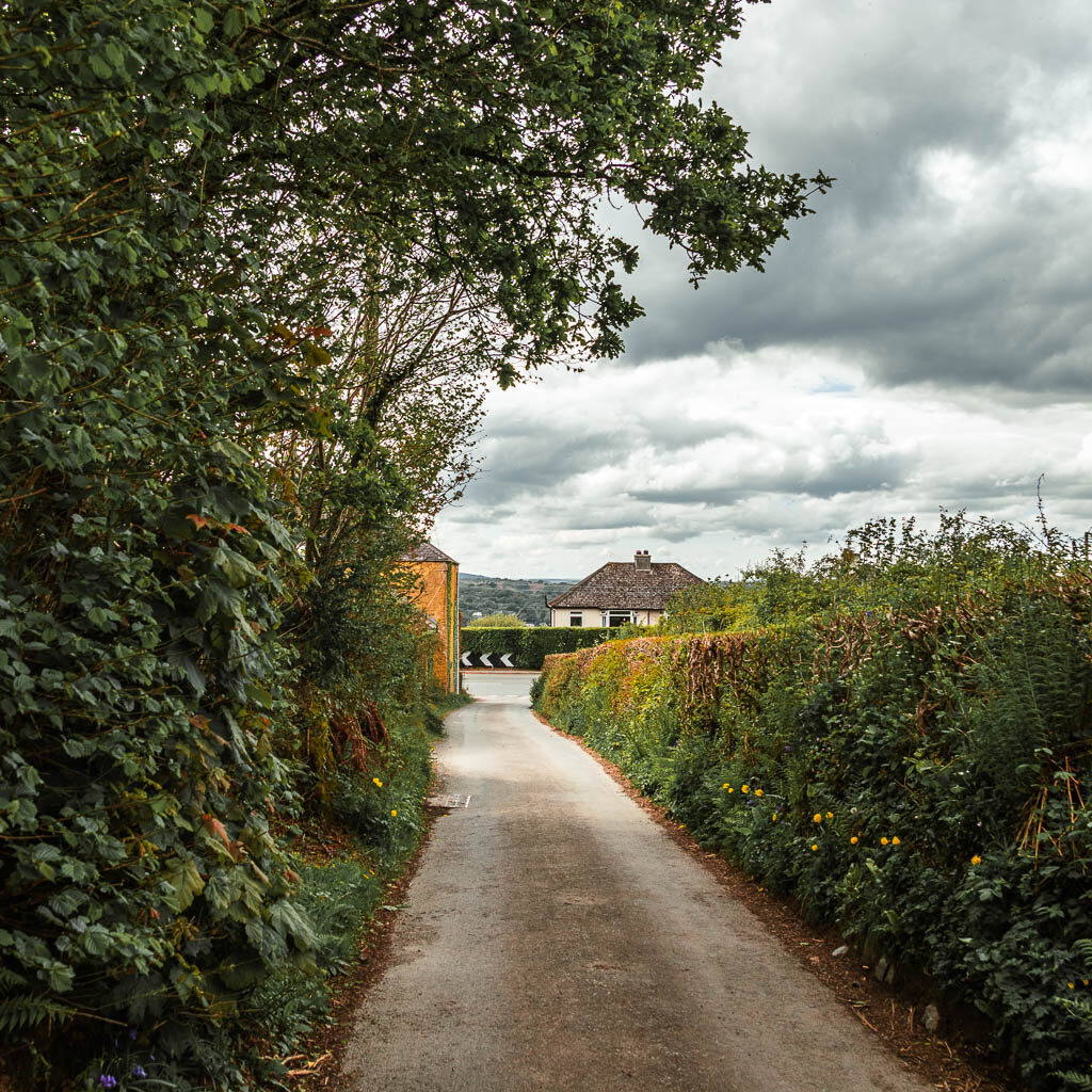 A country road with a hedge on the right and a hedge and trees on the left. There is the rooftop of a cottage visible at the end of the road. 