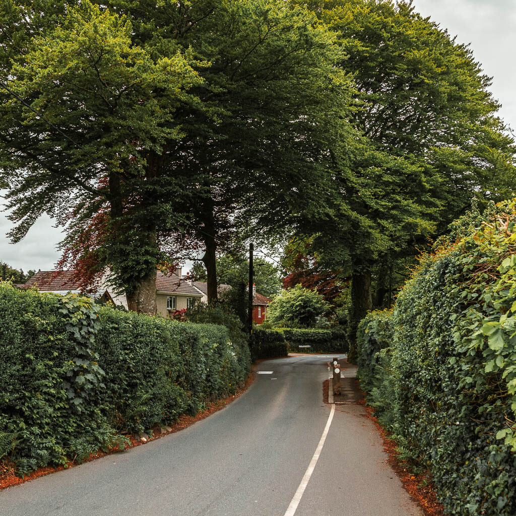 A road lined with hedges, and some trees and houses ahead.