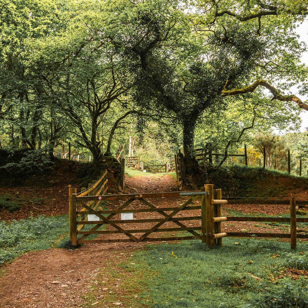 A wooden fence and gate leading to an open gate to another field.