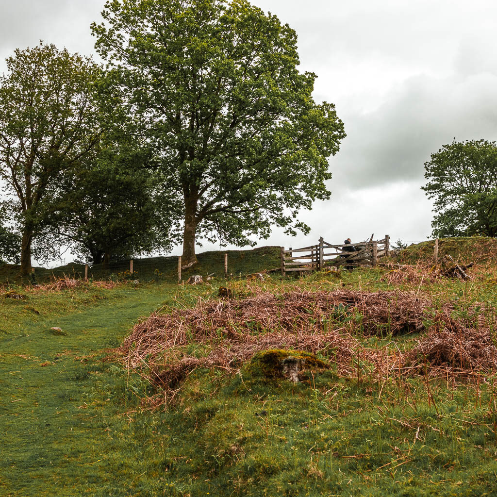 A grass trail leading uphill to some tress and a wooden gate at the top.