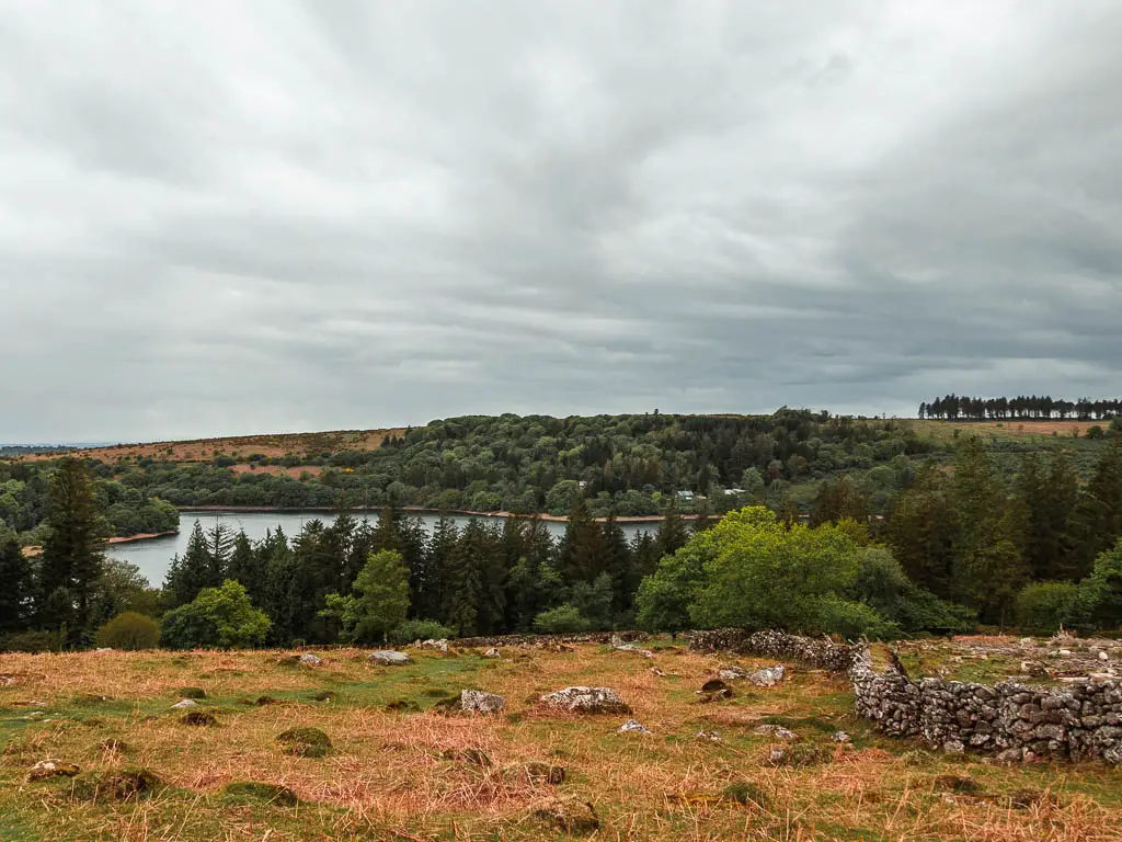 Looking down to the reservoir on the walk up to Sheepstor. There is a stone wall on the right, and the reservoir is surround by trees.