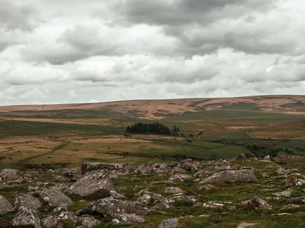 Looking across the rocks and down the hill to the vast landscape of Dartmoor National Park. In the distance there is a small cluster of trees.