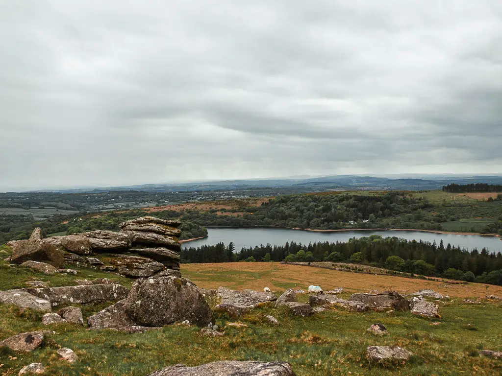 Looking down to the reservoir from the top of Sheepstor, part way through the circular walk. The ground is covered in rock tors.