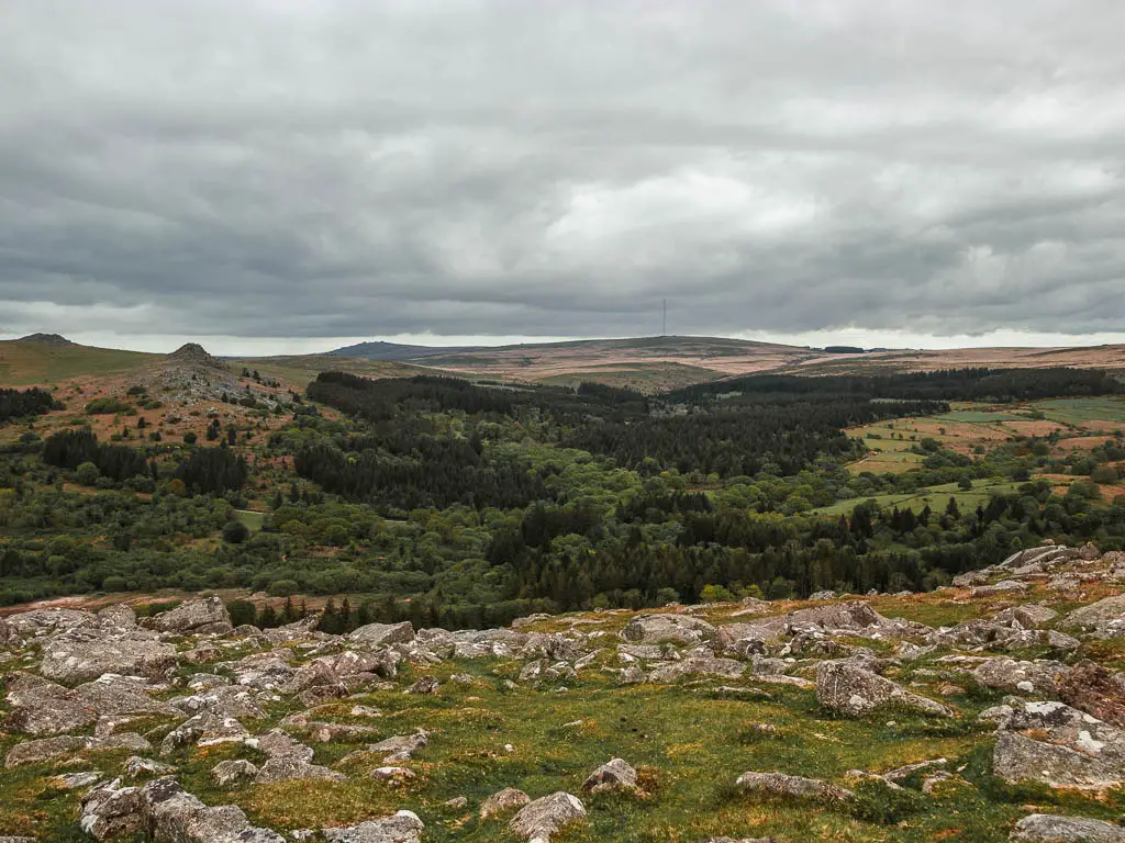 Looking down the tor covered ground to woodland at the bottom on the Sheepstor circular walk in Dartmoor.