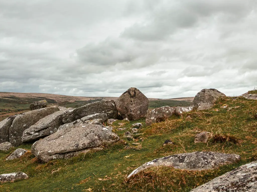 Lots of large tor outcrops on the circular walk, up at Sheepstor.