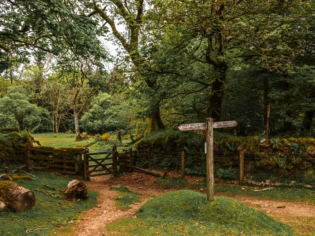 A wooden trail signpost on a small green bump in the gourd, with a fence and gate ahead.