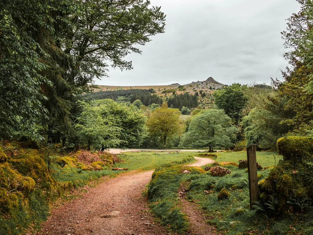 A wide gravel path through the grass, leading towards some trees. There are hills poking up behind the trees.