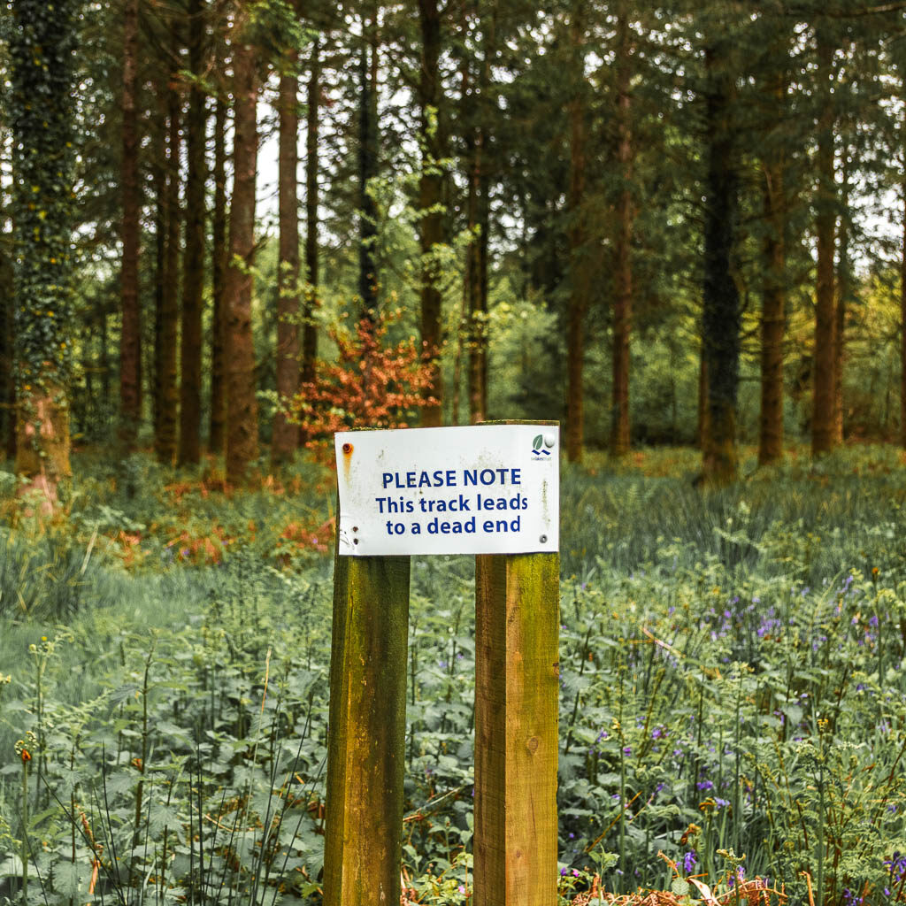 A white sign on wooden sticks saying 'track leads to a dead end'.