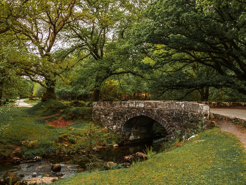 A small stone bridge with a stream of water running under it, along the Sheepstor circular walk.