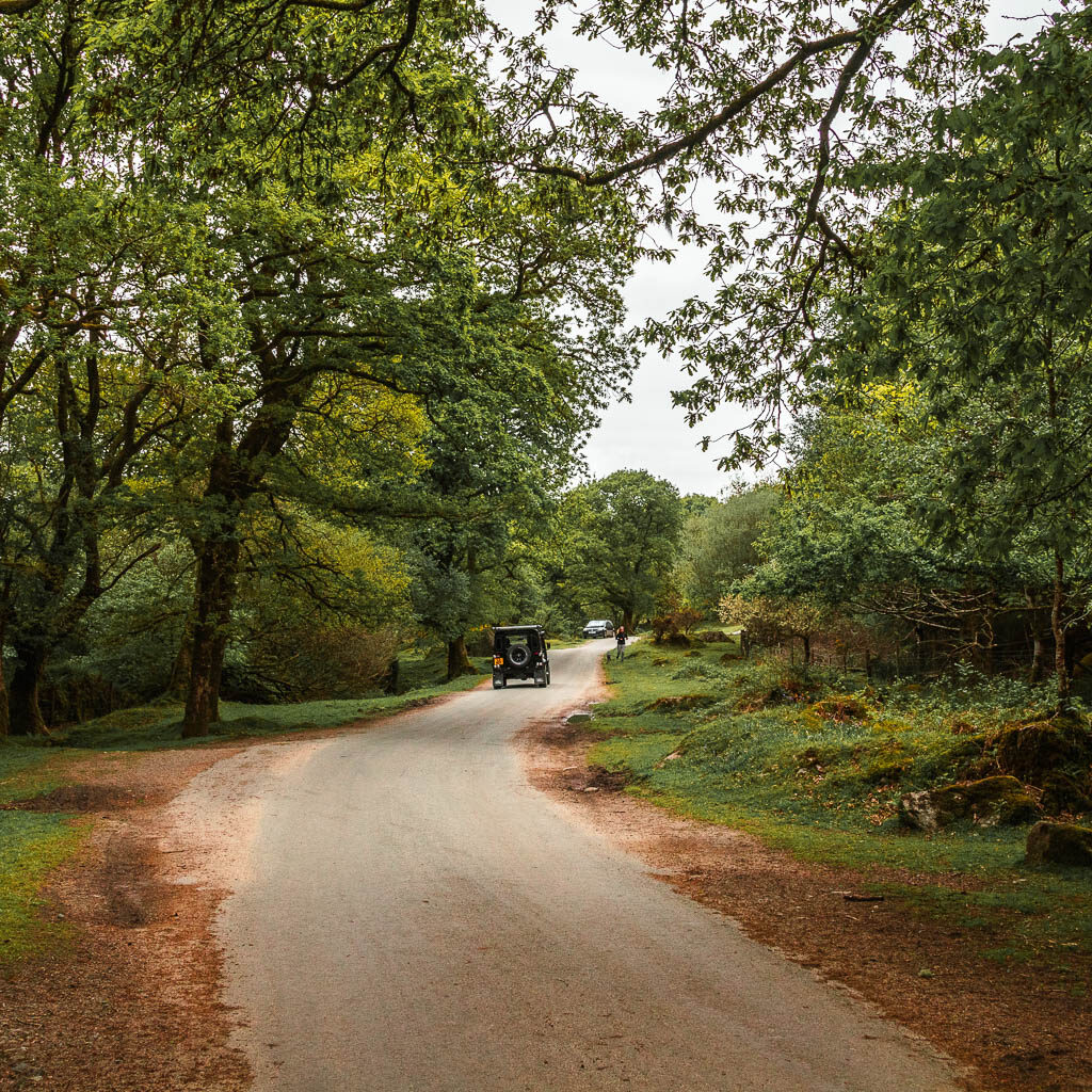 A road with a jeep driving along it. The road is surround by trees.