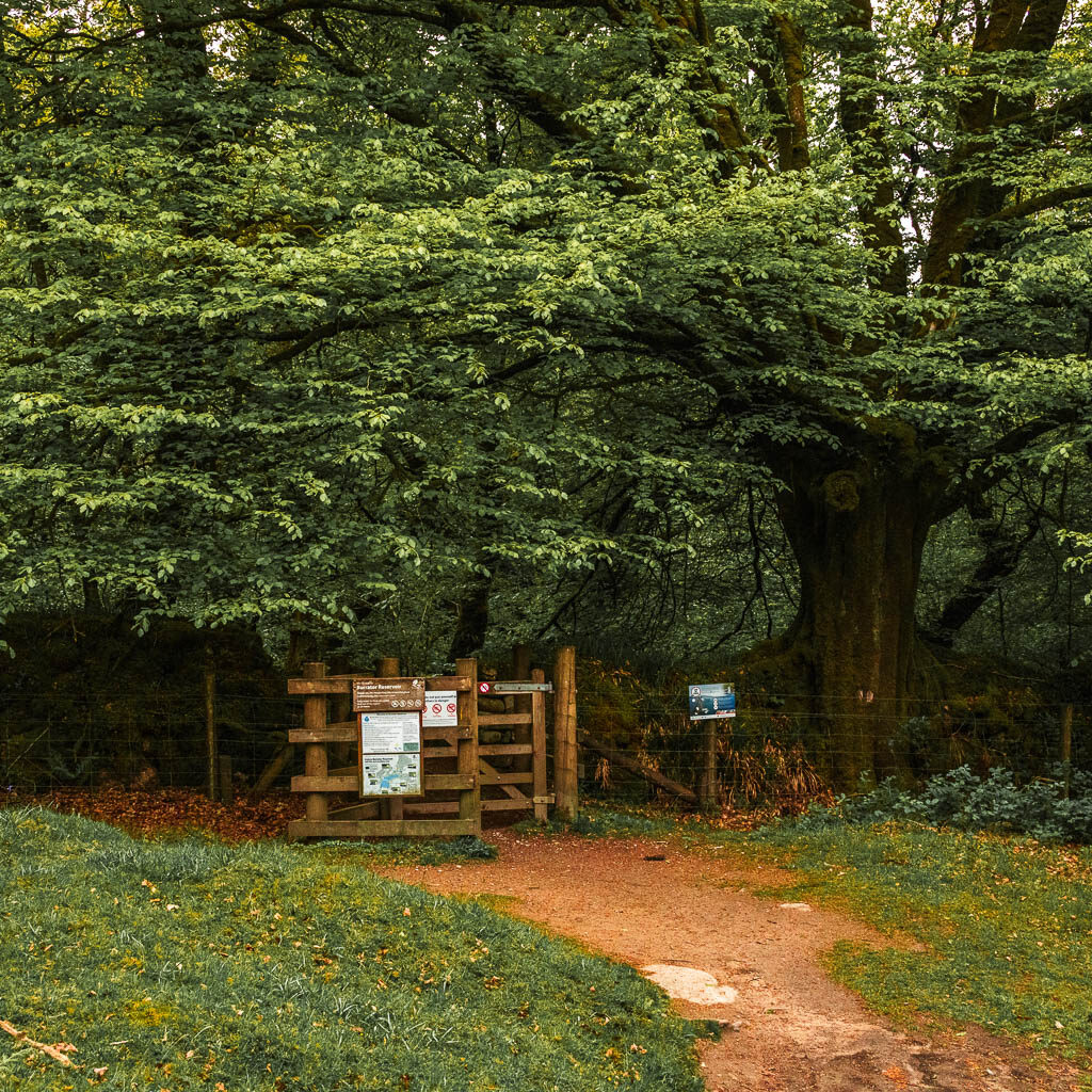 A dirt trail leading to a wooden gate and trees.