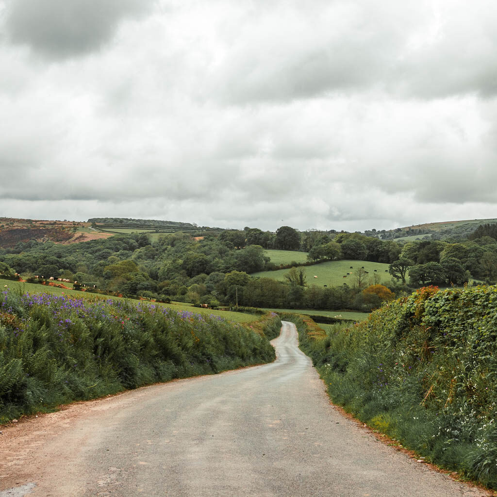 A country road, wide at this end, and narrow further along, lined with hedges and some hills in the distance.