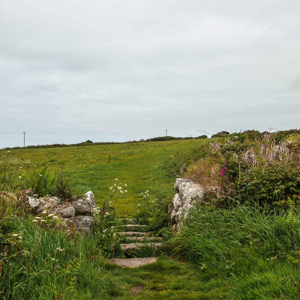 Stone steps between the tall grass covered stone wall, leading from one field to another. 