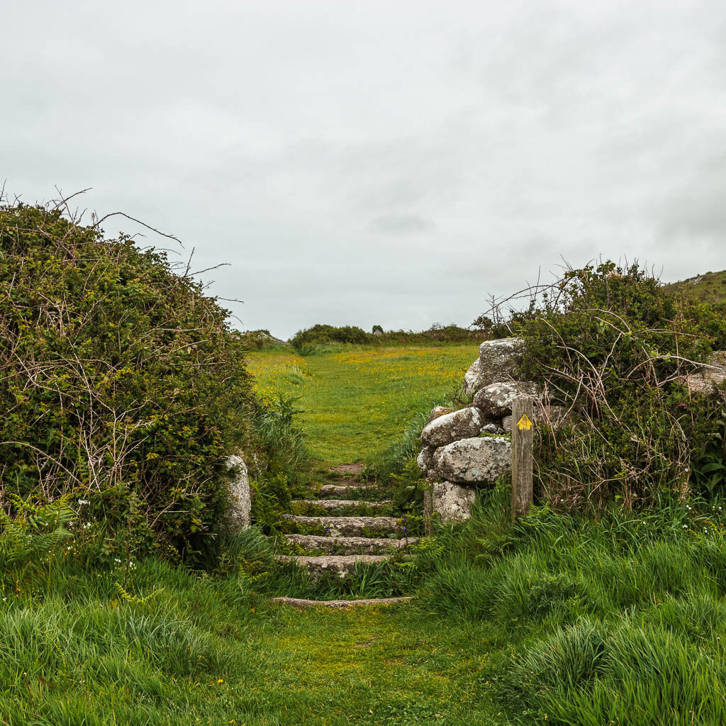 Stone steps leading from one field to another, with a hedge to the left and a green bush covered stone wall to the right.