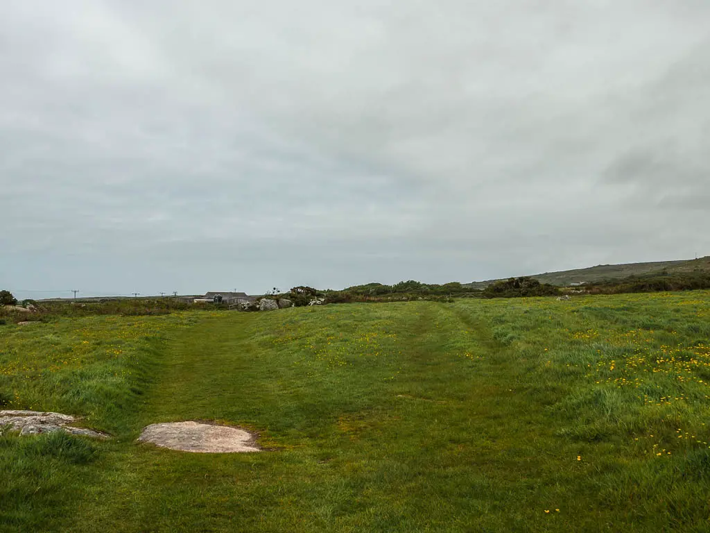 A large grass field with a grass trail spilt. 