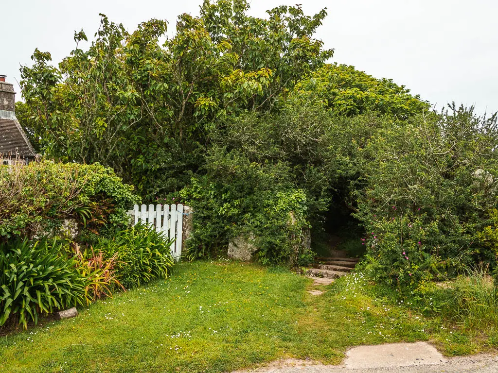 A green path of grass, with bushes and a white fence to the left and bushes and trees ahead, with an opening for the trail. 