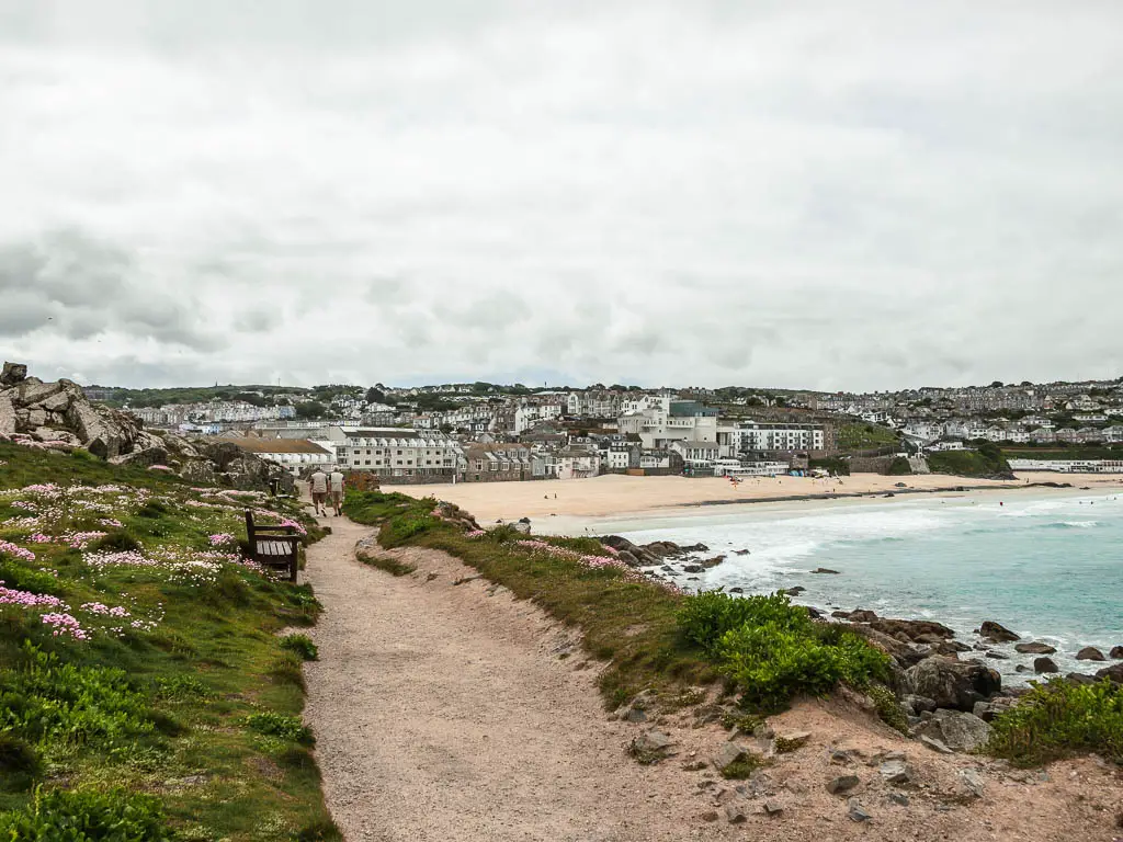 A coast path with a green and lots of pink and white flowers on the left, and a sandy beach ahead to the right, on the walk from St Ives to Zennor. The sea is pale turquoise where it meets the beach, and there are lots of buildings behind the beach. There is a wooden bench on the left side of the path. 